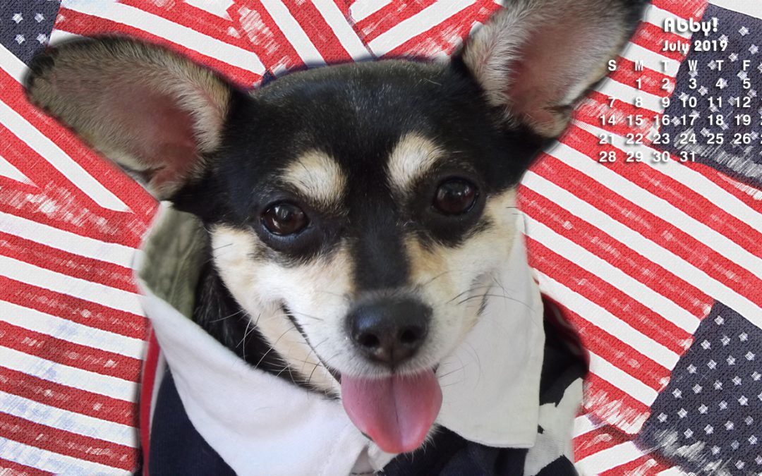 Abby July Fourth