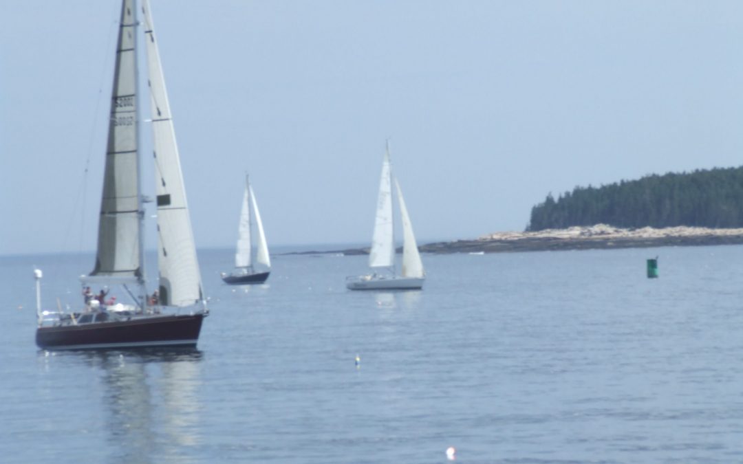 SailingRace14